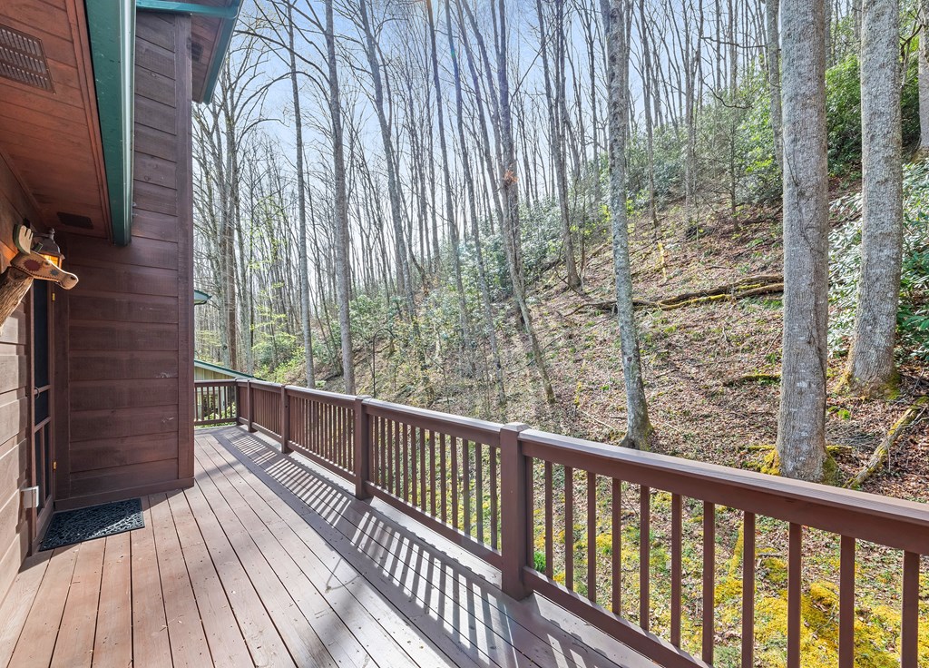 41 Trapper Ln