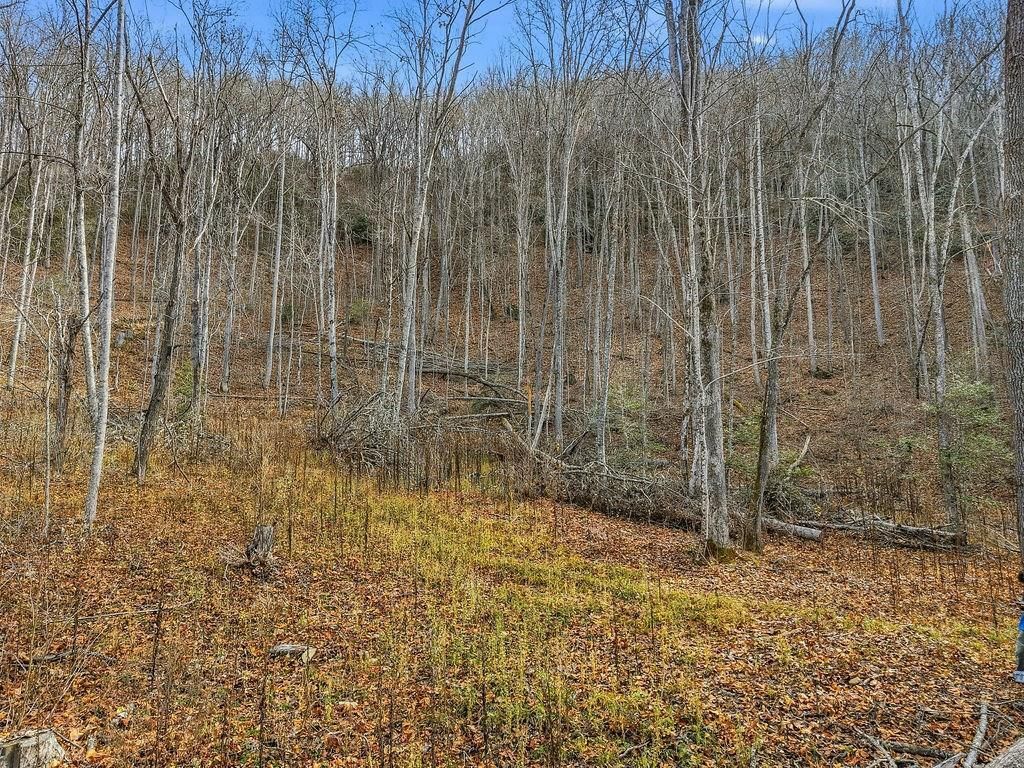 Photo of 00 Barkers Creek Rd, Whittier, NC 28789 (MLS # 26042773)
