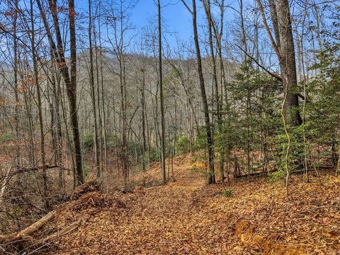 Photo of 00 Barkers Creek Rd, Whittier, NC 28789 (MLS # 26042773)