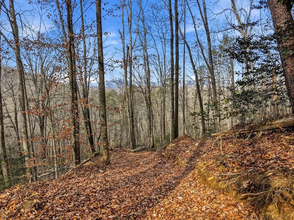 Photo of 00 Barkers Creek Rd, Whittier, NC 28789 (MLS # 26042773)