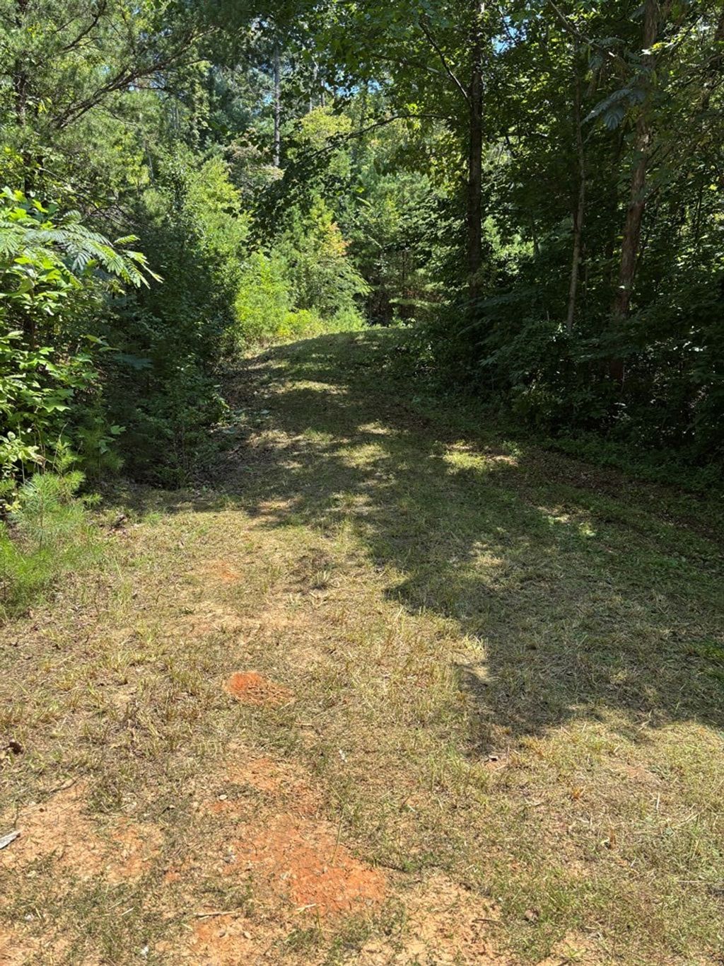Photo of 0 Ela Rd, Bryson City, NC 28713 (MLS # 26042014)