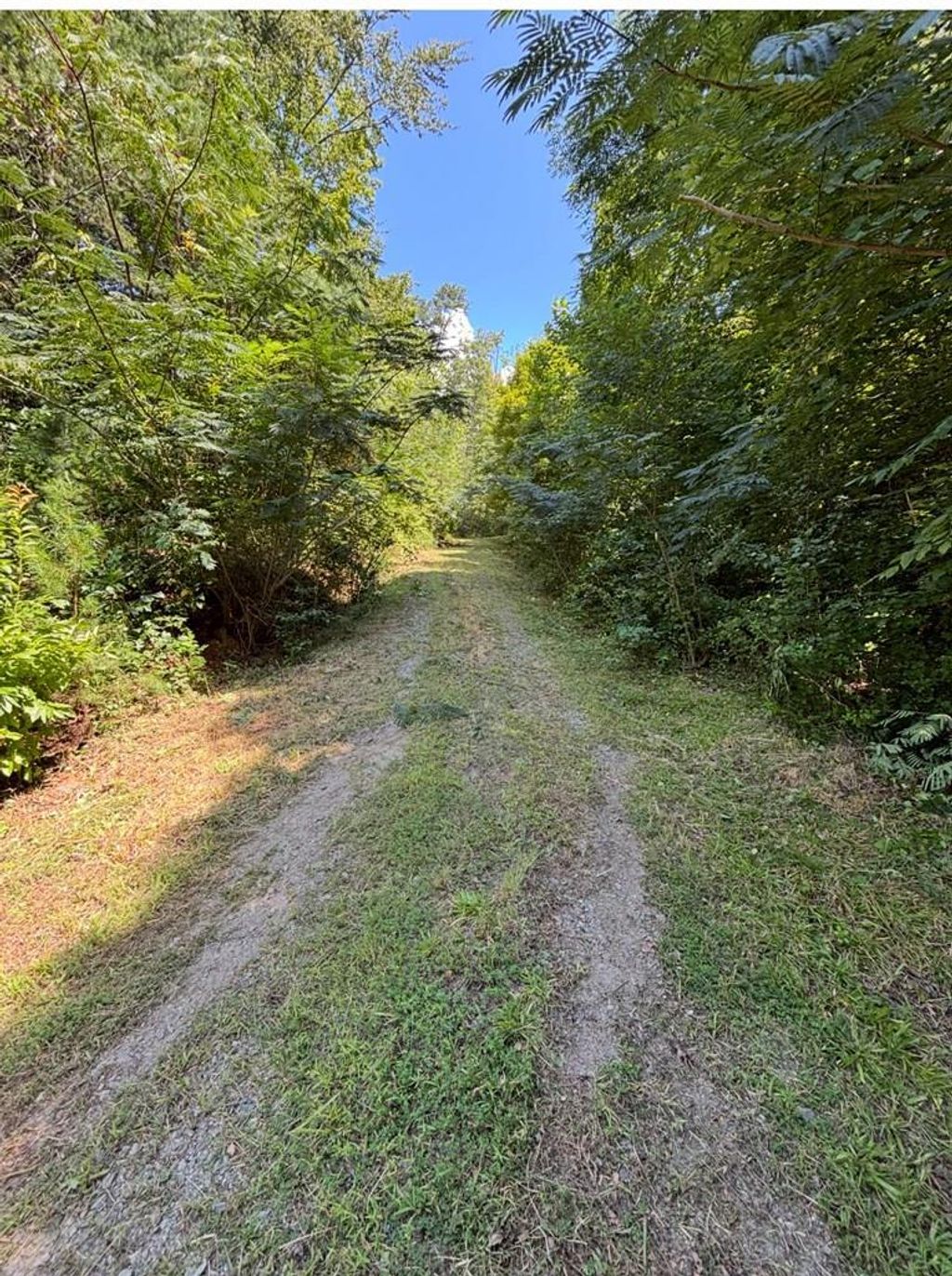 Photo of 0 Ela Rd, Bryson City, NC 28713 (MLS # 26042014)