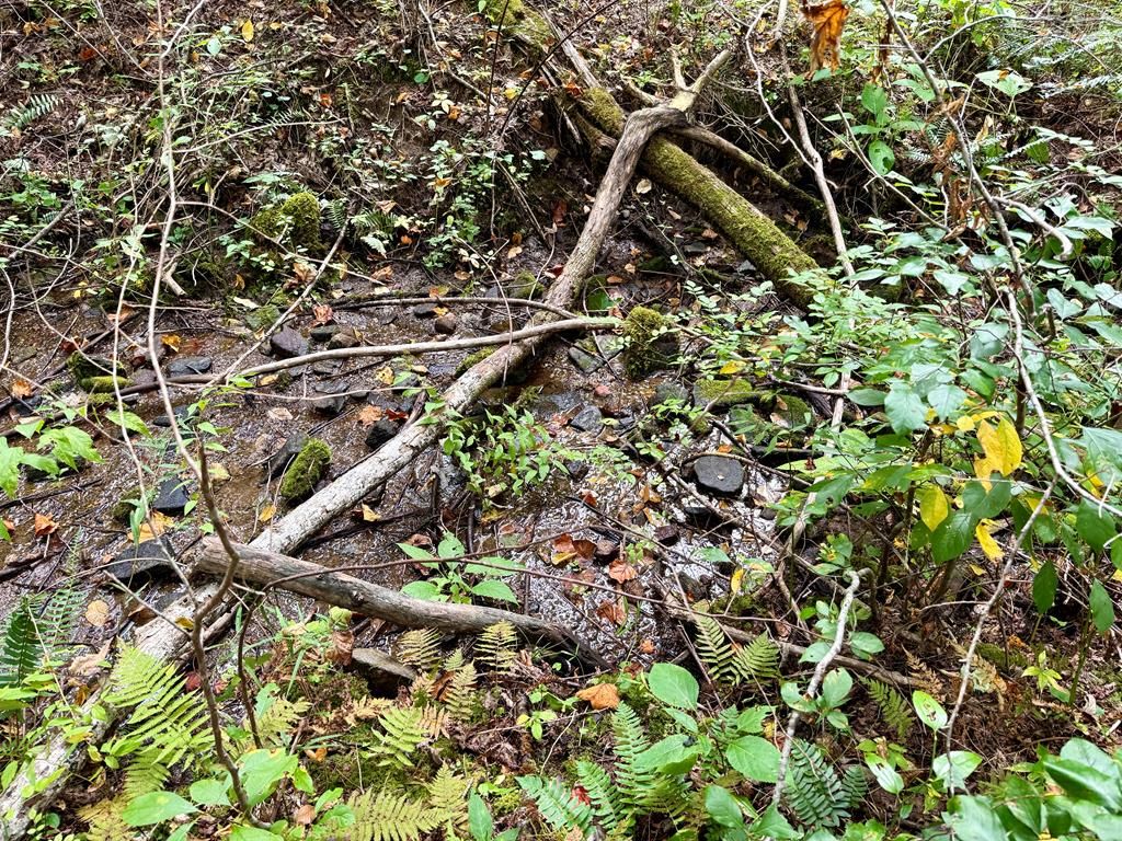 Photo of 0 Whispering Ridge, Tuckasegee, NC 28783 (MLS # 26042260)