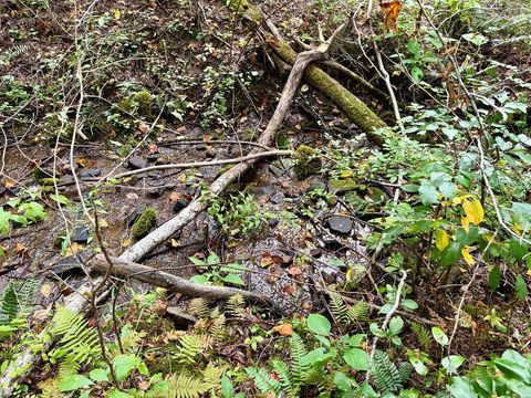 Photo of 0 Whispering Ridge, Tuckasegee, NC 28783 (MLS # 26042260)