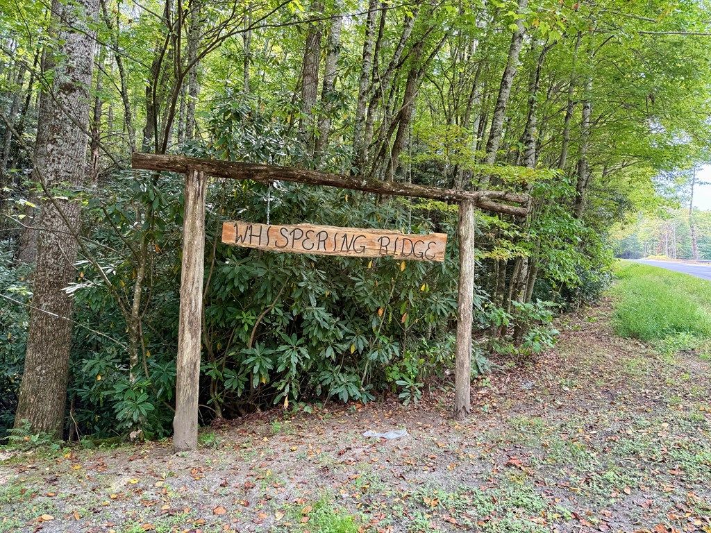 Photo of 0 Whispering Ridge, Tuckasegee, NC 28783 (MLS # 26042260)