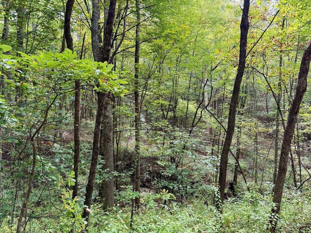 Photo of 0 Whispering Ridge, Tuckasegee, NC 28783 (MLS # 26042260)
