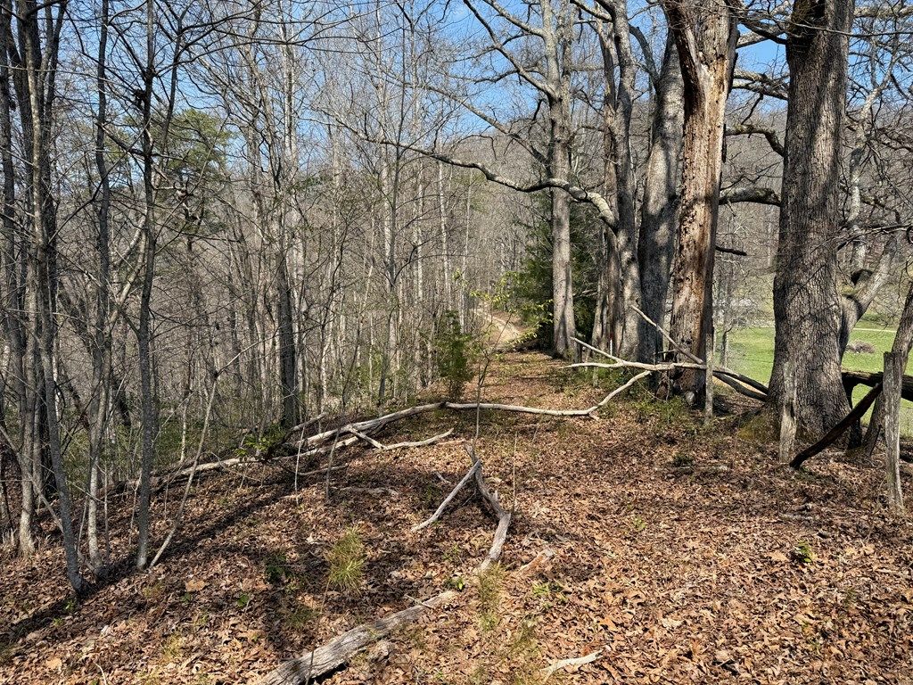 Photo of 00 Lot 1 &amp; 2 Sec C Boot Hill La, Whittier, NC 28789 (MLS # 26046801)