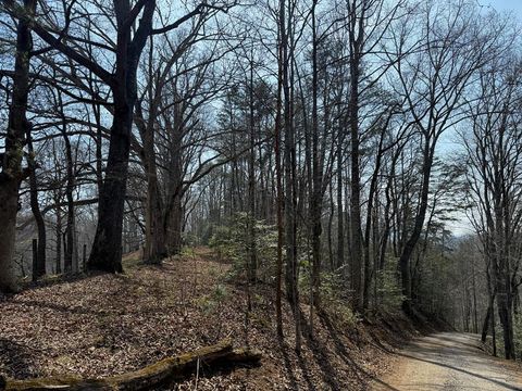 Photo of 00 Lot 1 & 2 Sec C Boot Hill La, Whittier, NC 28789 (MLS # 26046801)