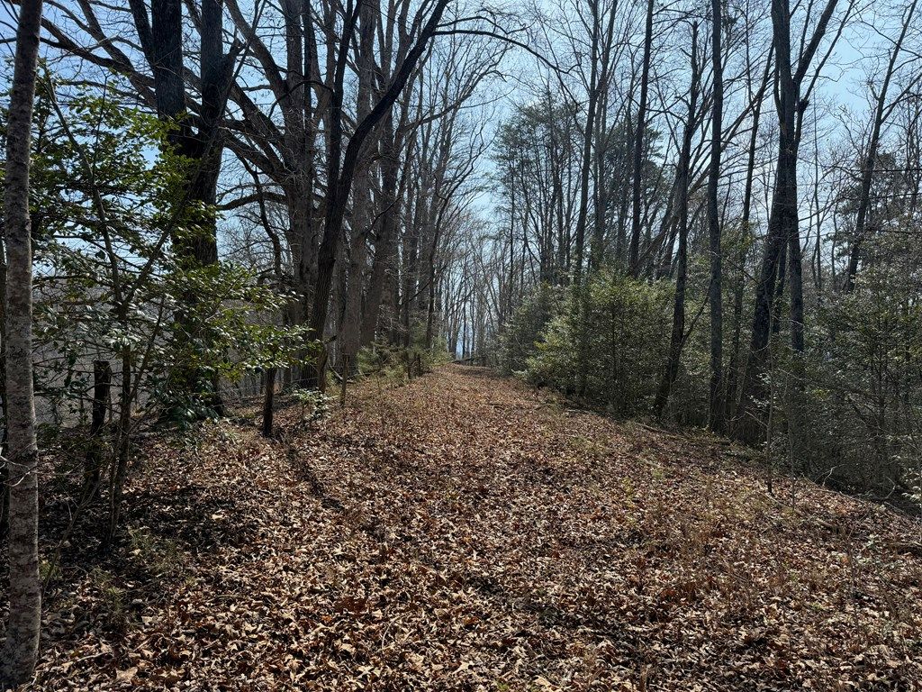 Photo of 00 Lot 1 &amp; 2 Sec C Boot Hill La, Whittier, NC 28789 (MLS # 26046801)