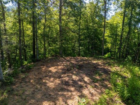 Photo of Lot C Claude Cook Road, Sylva, NC 28779 (MLS # 26048295)