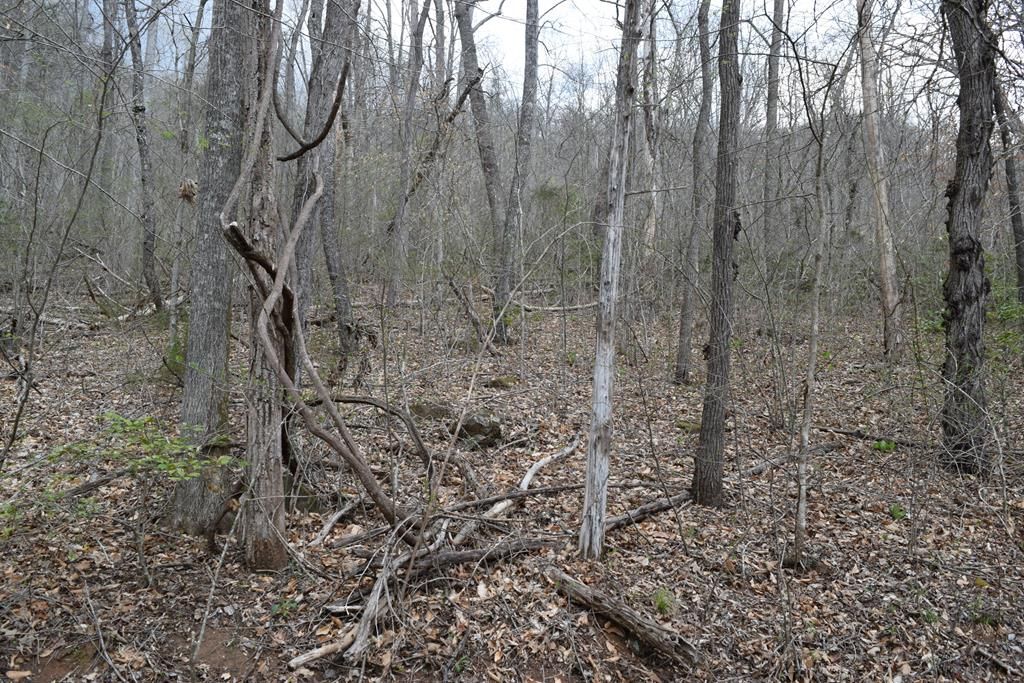 Photo of TBD Bel Air Rd, Cullowhee, NC 28723 (MLS # 26046832)