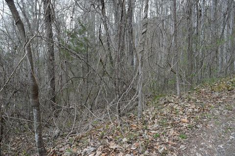 Photo of TBD Bel Air Rd, Cullowhee, NC 28723 (MLS # 26046832)