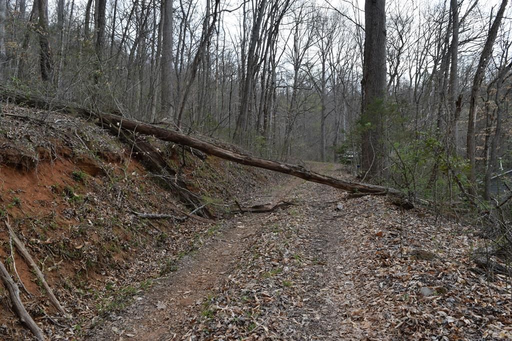 Photo of TBD Bel Air Rd, Cullowhee, NC 28723 (MLS # 26046832)