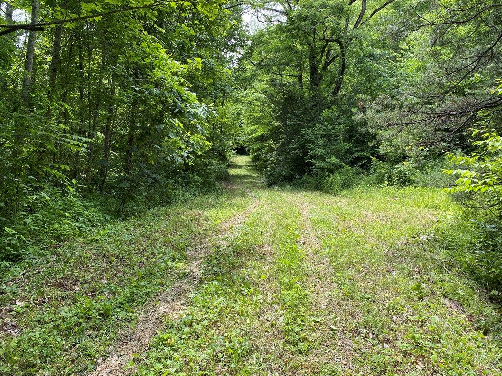 Photo of 00 Moody Bridge Road, Cullowhee, NC 28723 (MLS # 26041415)