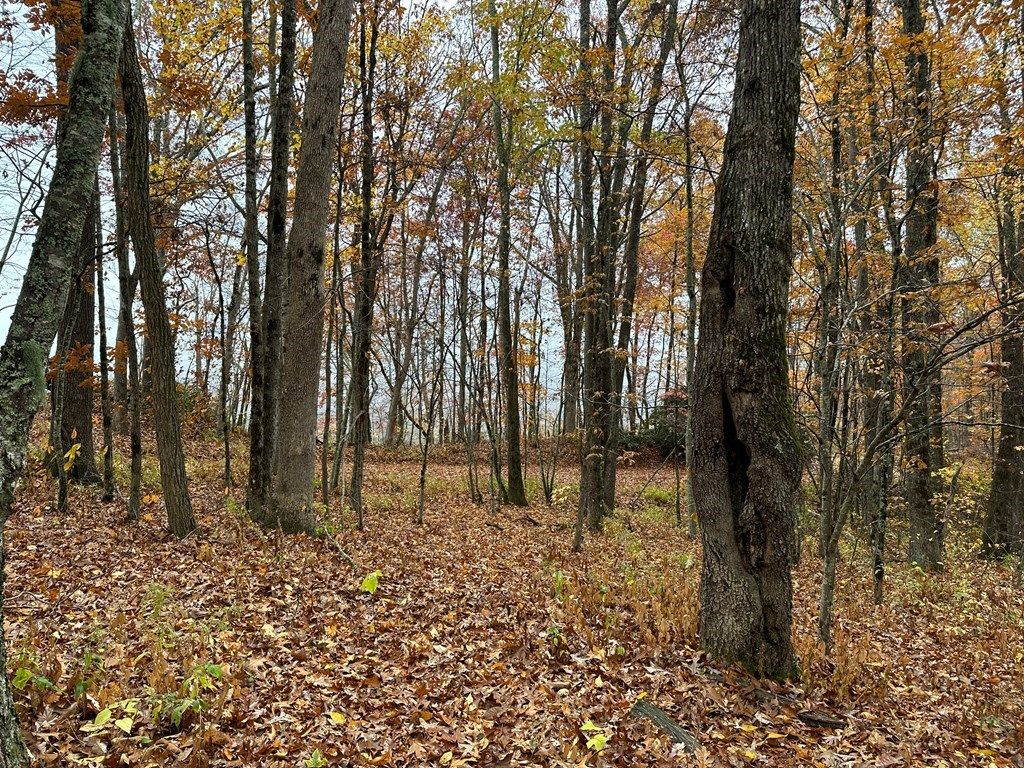 Photo of 2680 Conley Mountain Association Rd Whittier, Bryson City, NC 28789 (MLS # 26043033)