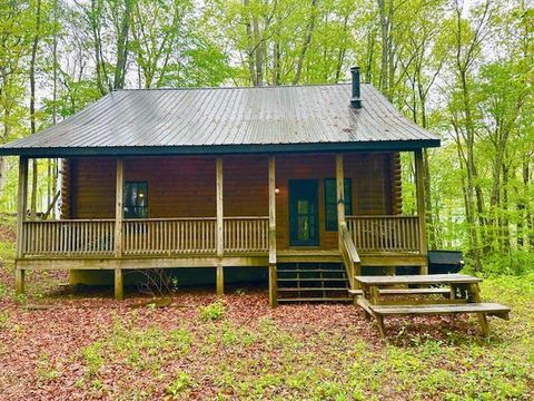 Photo of 2680 Conley Mountain Association Rd Whittier, Bryson City, NC 28789 (MLS # 26043033)
