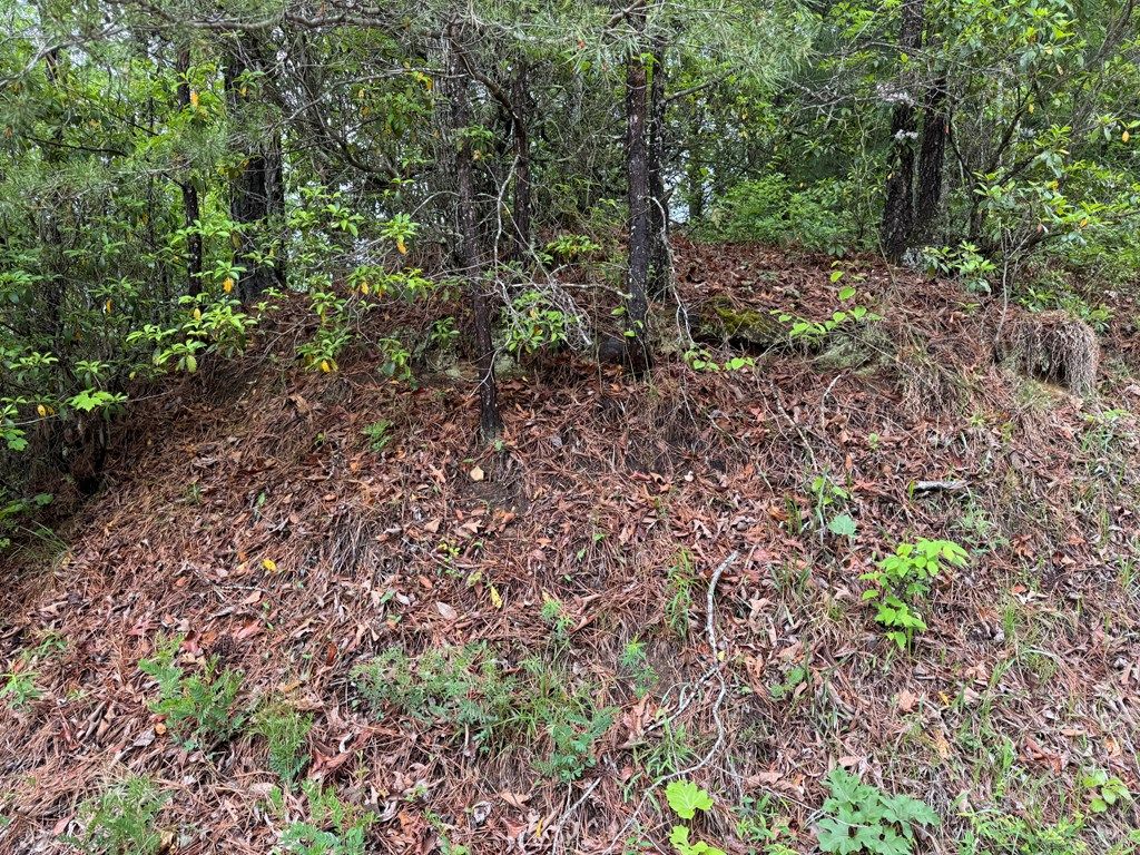 Photo of 102 Hwy 19s /Sky Ridge Dr, Bryson City, NC 28713 (MLS # 26047186)