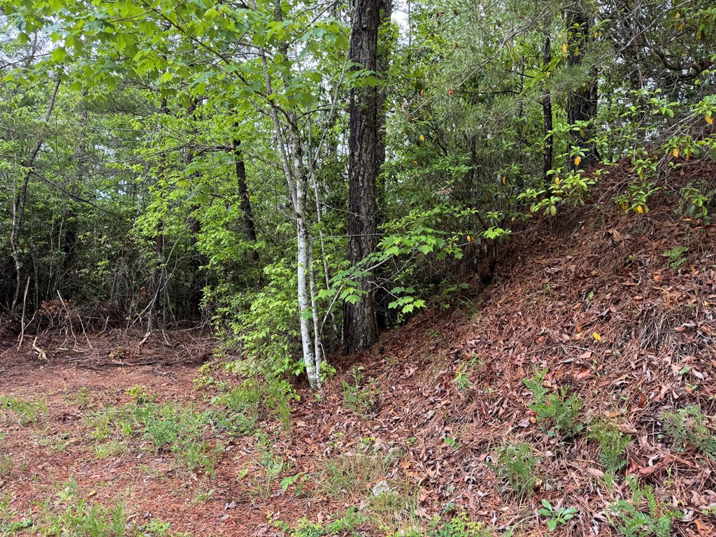 102 Hwy 19s /Sky Ridge Dr