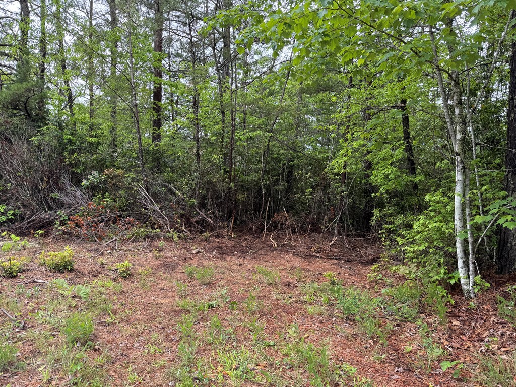 102 Hwy 19s /Sky Ridge Dr