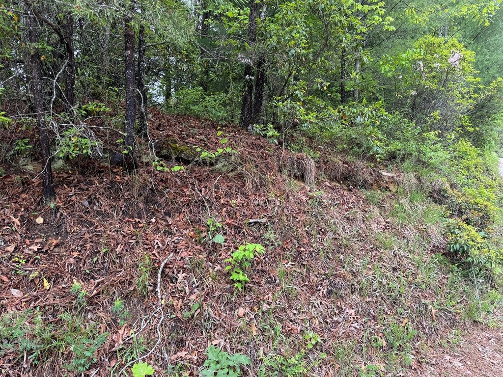 Photo of 102 Hwy 19s /Sky Ridge Dr, Bryson City, NC 28713 (MLS # 26047186)