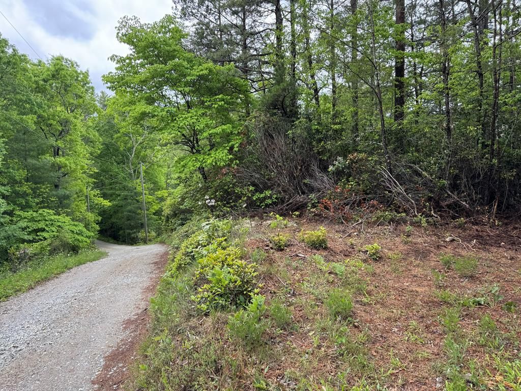 Photo of 102 Hwy 19s /Sky Ridge Dr, Bryson City, NC 28713 (MLS # 26047186)