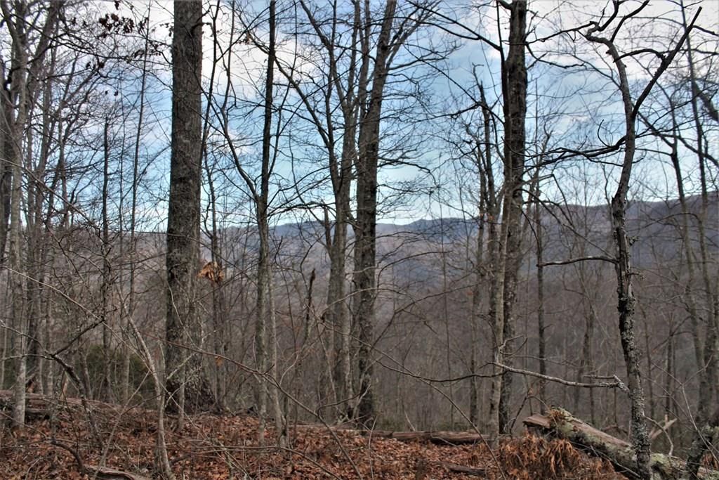 Photo of 0 Mountain Vista, Bryson City, NC 28713 (MLS # 26045467)