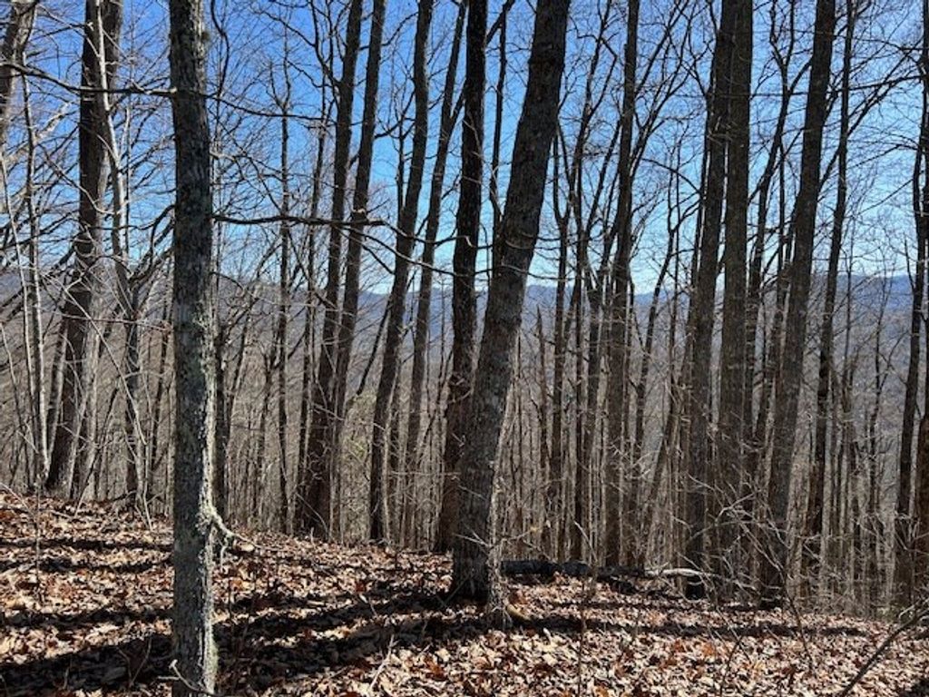 Photo of 0 Mountain Vista, Bryson City, NC 28713 (MLS # 26045467)