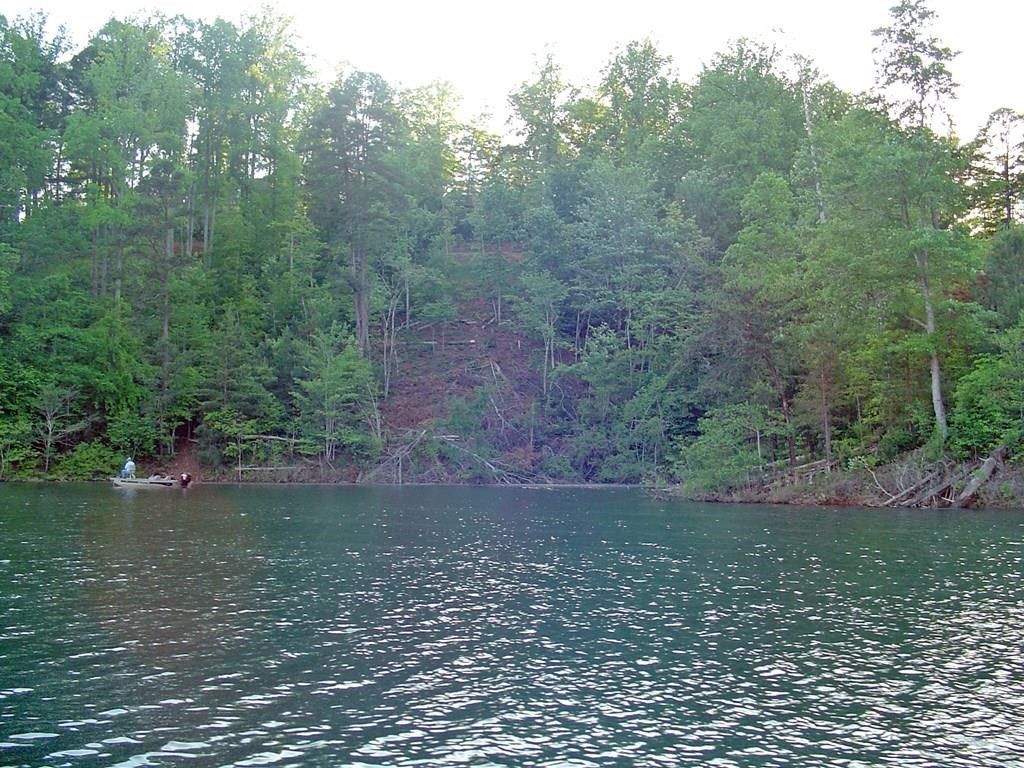 Photo of 103-3 Rocky Bluff Dr, Bryson City, NC 28713 (MLS # 26042043)