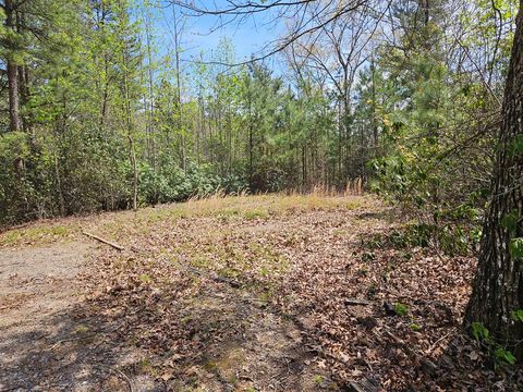 Photo of 00 Gem Lakes Estates Road, Franklin, NC 28734 (MLS # 26046917)