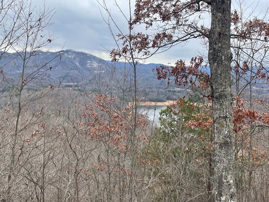 Photo of 100-11 Ridge View Dr, Bryson City, NC 28713 (MLS # 26039959)