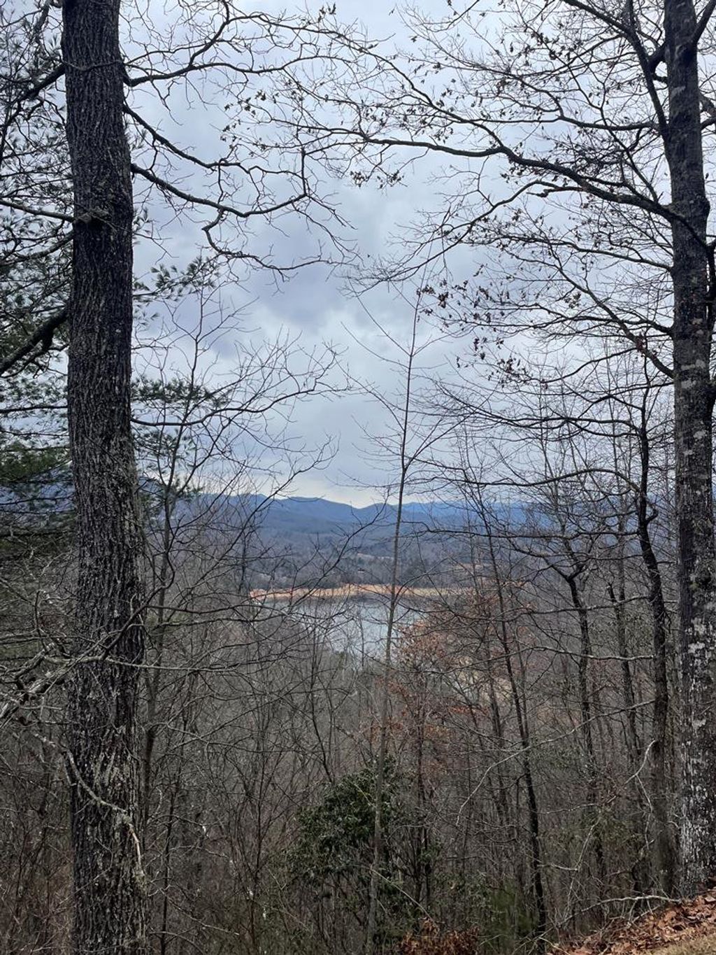 Photo of 100-11 Ridge View Dr, Bryson City, NC 28713 (MLS # 26039959)
