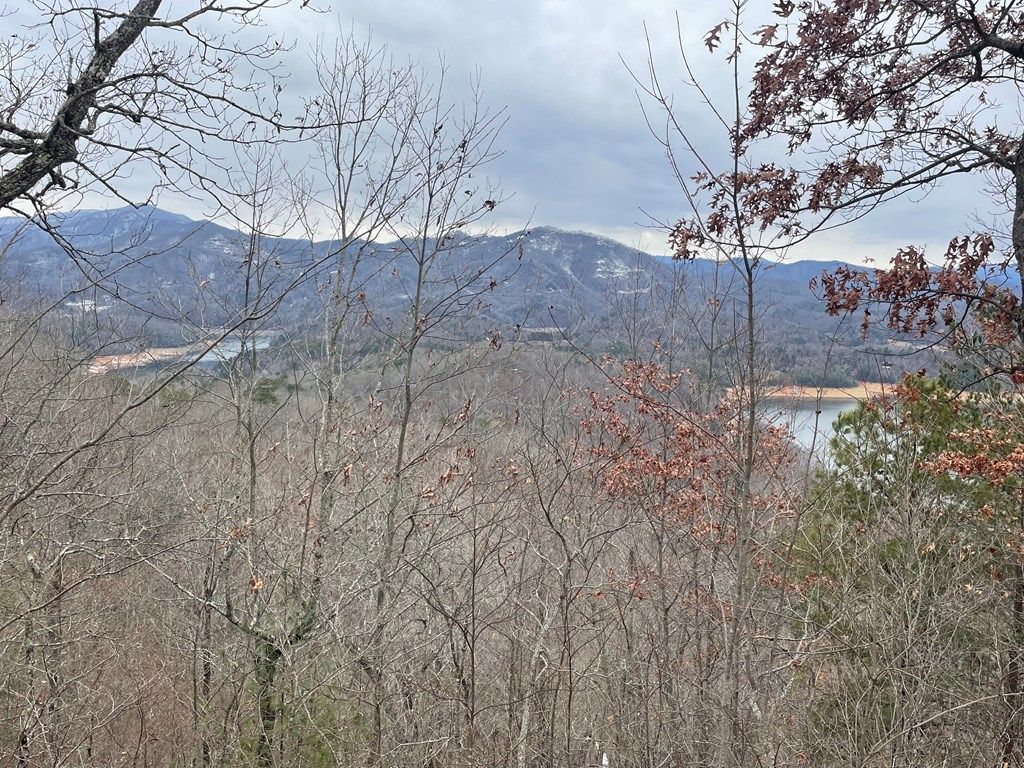 Photo of 100-11 Ridge View Dr, Bryson City, NC 28713 (MLS # 26039959)