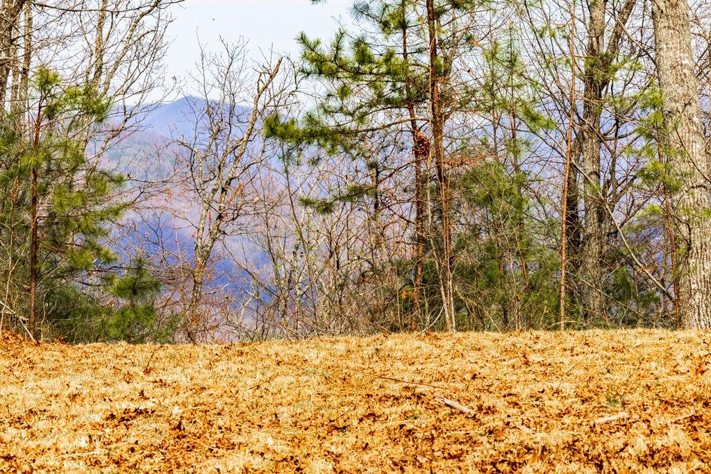 Photo of Lot 1 Butternut Ridge, Bryson City, NC 28713 (MLS # 26041398)