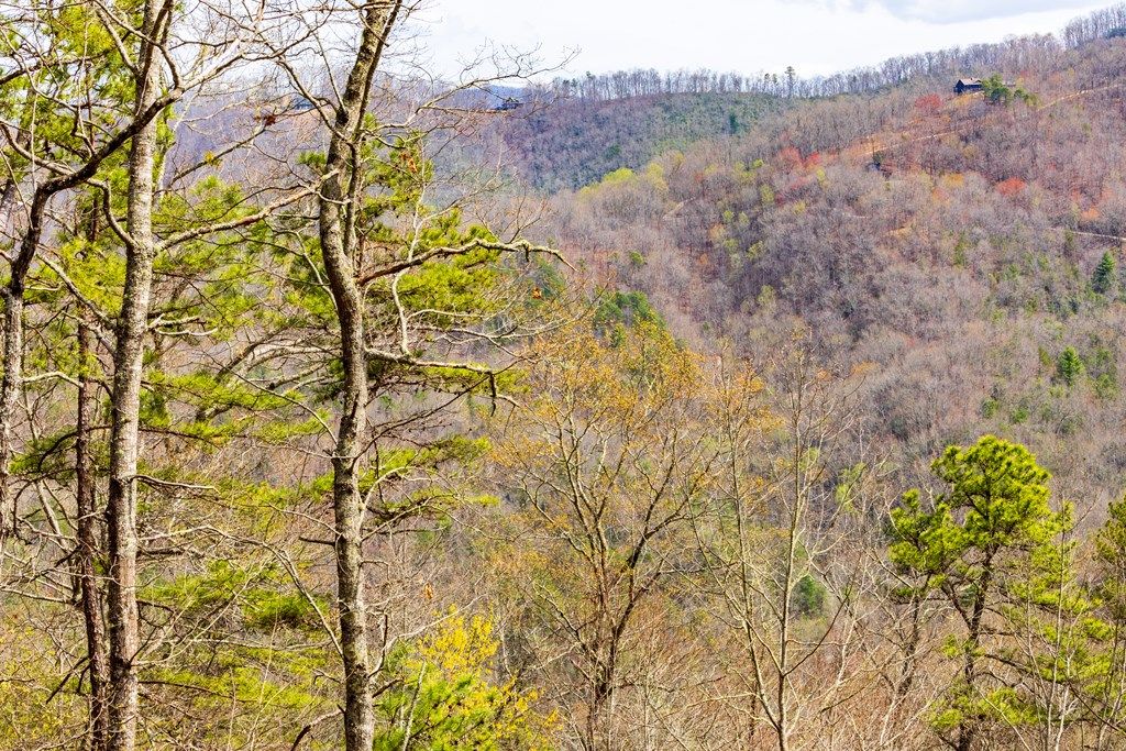 Photo of Lot 1 Butternut Ridge, Bryson City, NC 28713 (MLS # 26041398)