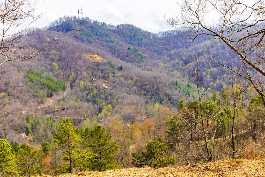 Photo of Lot 1 Butternut Ridge, Bryson City, NC 28713 (MLS # 26041398)