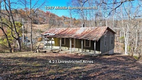 Photo of 1357 Middle Burningtown Rd, Franklin, NC 28734 (MLS # 26042617)