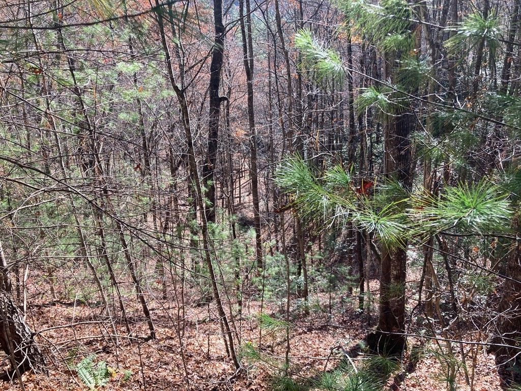 Photo of 0 Lot # 3 Panther Creek Properties, Almond, NC 28702 (MLS # 26042728)