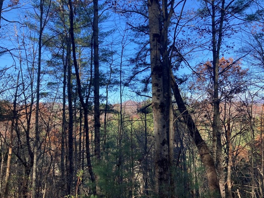 Photo of 0 Lot # 3 Panther Creek Properties, Almond, NC 28702 (MLS # 26042728)