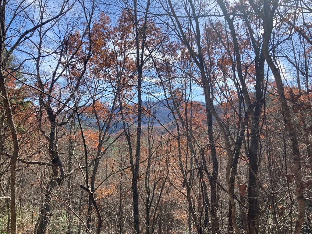 Photo of 0 Lot # 3 Panther Creek Properties, Almond, NC 28702 (MLS # 26042728)