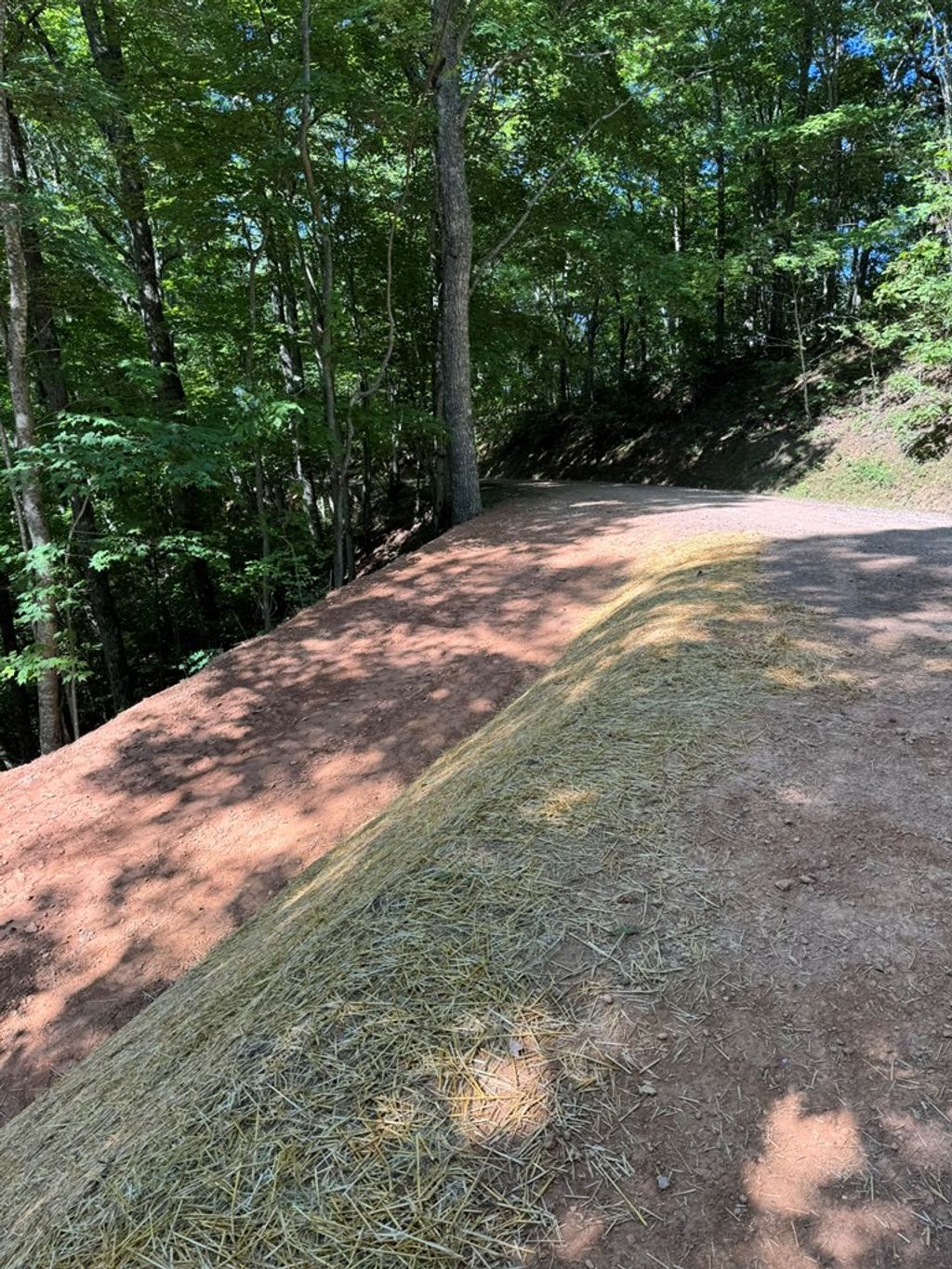 Photo of Lot 97 Hosta Dr, Sylva, NC 28779 (MLS # 26041763)