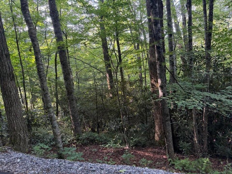 Photo of 0 Wandering Rdg, Cashiers, NC 28736 (MLS # 26048221)