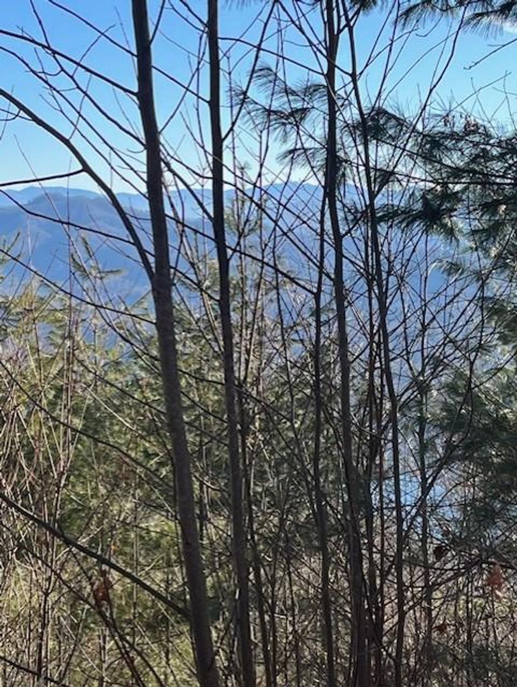 Photo of Lot 65 Fontana Trace Drive, Almond, NC 28789 (MLS # 25950050)