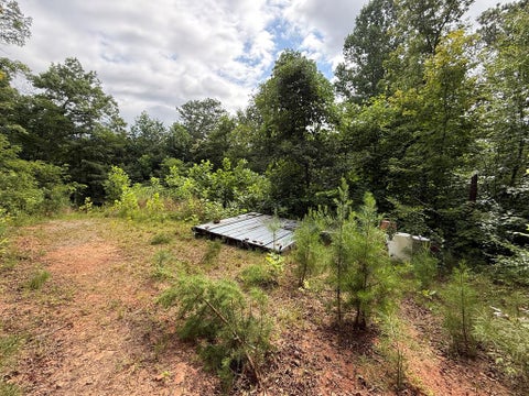 Photo of 0 Terrapin Trl, Qualla, NC 28789 (MLS # 26047982)
