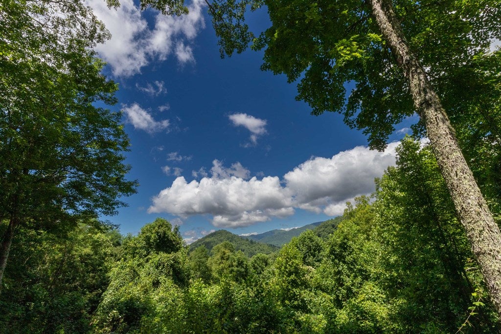 Photo of 350 Deep Gully Road, Bryson City, NC 28713 (MLS # 26047590)
