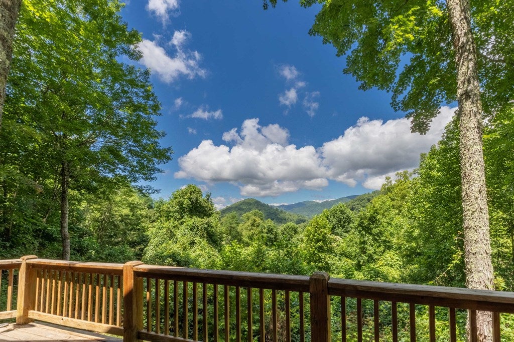 Photo of 350 Deep Gully Road, Bryson City, NC 28713 (MLS # 26047590)