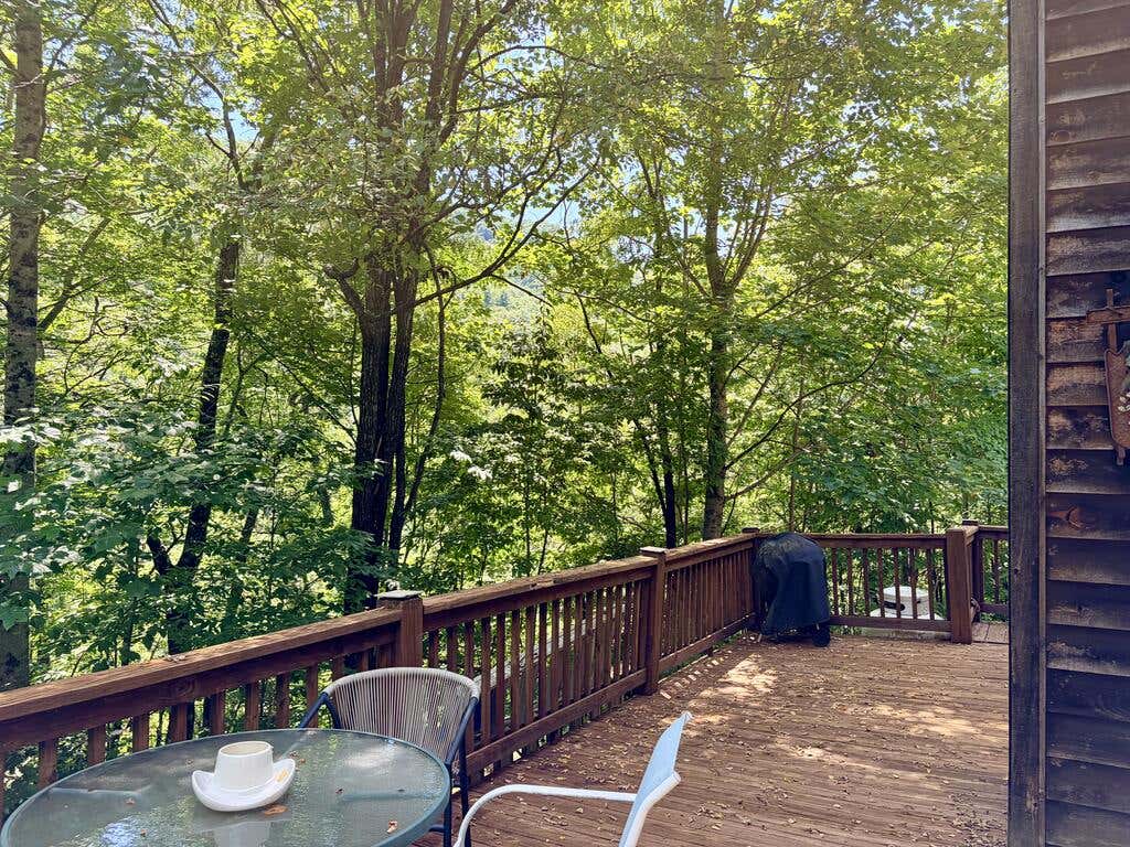 Photo of 542 Brushy Fork Rd, Sylva, NC 28779 (MLS # 26048299)