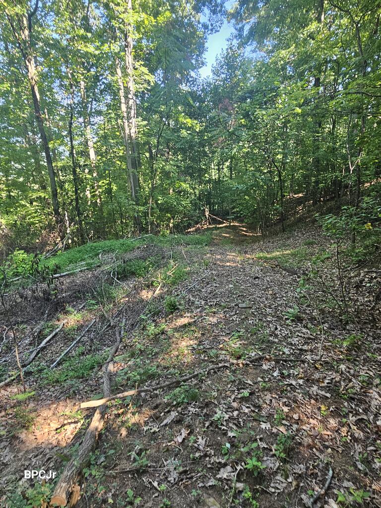 00 Rd 1124 Lot 22 & 23