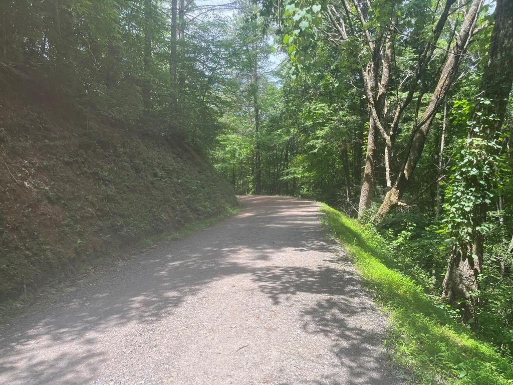 Photo of 108-2 Elks Circle, Bryson City, NC 28713 (MLS # 26040705)
