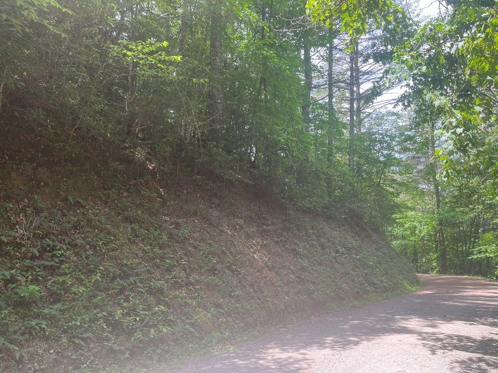 Photo of 108-2 Elks Circle, Bryson City, NC 28713 (MLS # 26040705)