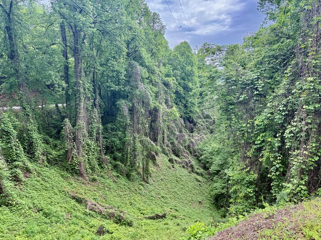 Photo of 0 Watia Rd, Bryson City, NC 28713 (MLS # 26040957)